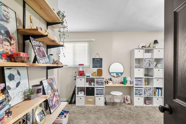 3480 W Broadus Dr, North Vernon, IN 47265 - recreation room with carpet flooring