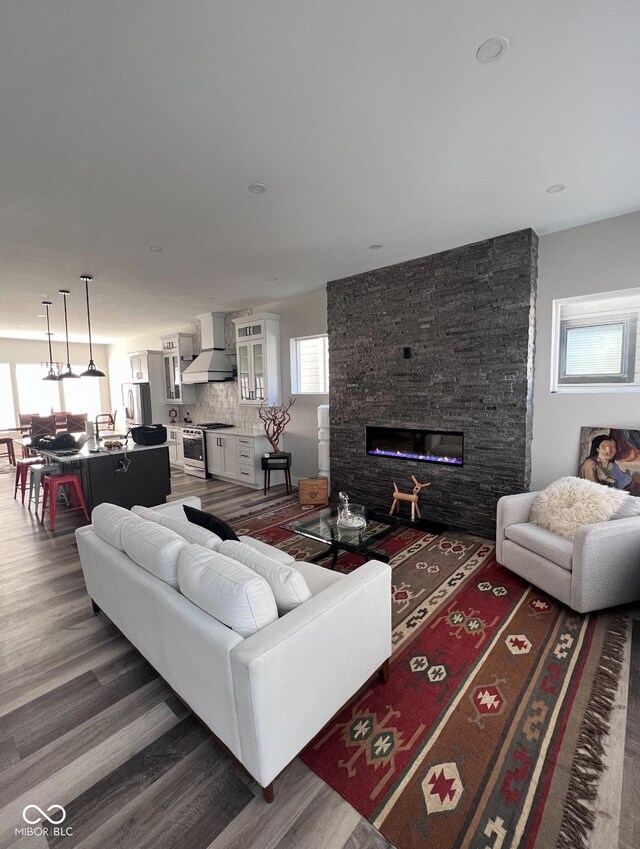 811 E Minnesota St, Indianapolis, IN 46203 - living area with healthy amount of natural light, a fireplace, and wood finished floors