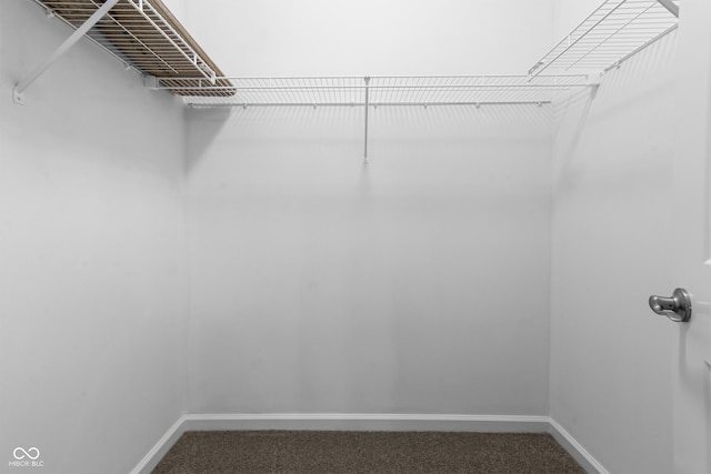 11815 Adair Pl, Indianapolis, IN 46229 - walk in closet featuring carpet flooring