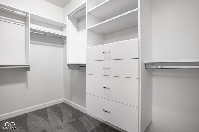 435 Virginia Ave Unit 106, Indianapolis, IN 46203 - spacious closet featuring dark colored carpet