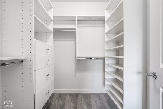 435 Virginia Ave Unit 106, Indianapolis, IN 46203 - spacious closet with carpet floors