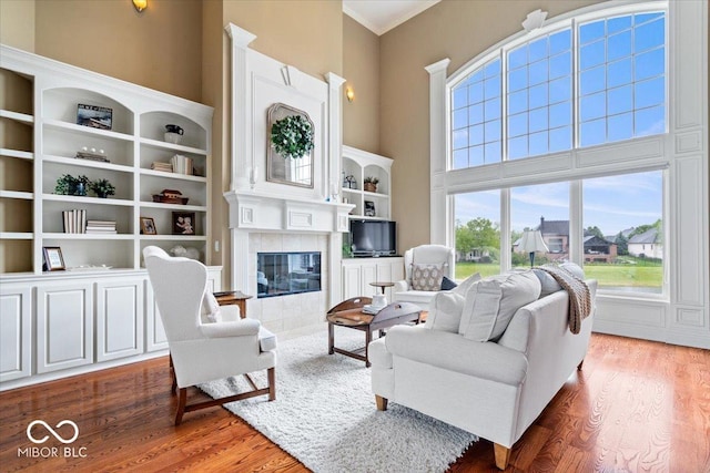 14711 Macduff Dr, Noblesville, IN 46062 - living room featuring wood finished floors, a fireplace, a high ceiling, and built in shelves