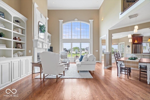 14711 Macduff Dr, Noblesville, IN 46062 - living area with plenty of natural light, a high ceiling, light wood-type flooring, baseboards, and crown molding