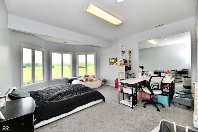 5758 N 900 W, Thorntown, IN 46071 - carpeted bedroom featuring baseboards