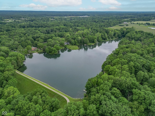 5821 Bittersweet Rd, Morgantown, IN 46160 - view of property location featuring a large body of water and a forest