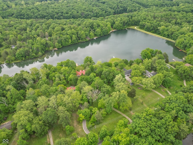 5821 Bittersweet Rd, Morgantown, IN 46160 - aerial view of a heavily wooded area and a large body of water