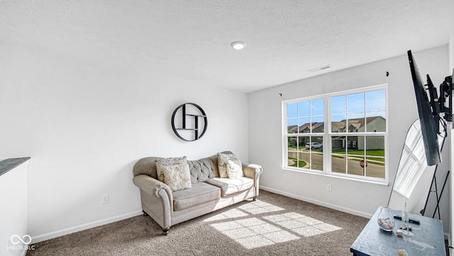 9717 Chuckwalla Pl, Fishers, IN 46040 - carpeted living area with healthy amount of natural light, baseboards, and a textured ceiling