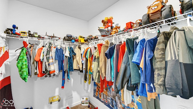 9717 Chuckwalla Pl, Fishers, IN 46040 - view of spacious closet