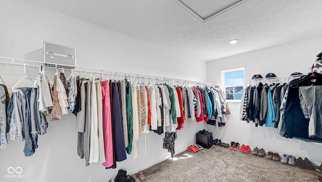 9717 Chuckwalla Pl, Fishers, IN 46040 - walk in closet featuring carpet floors and attic access
