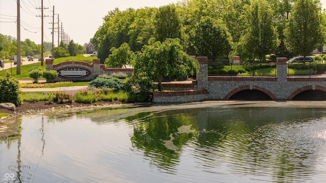 11065 Spice Ln, Fishers, IN 46037 - surrounding community with a water view