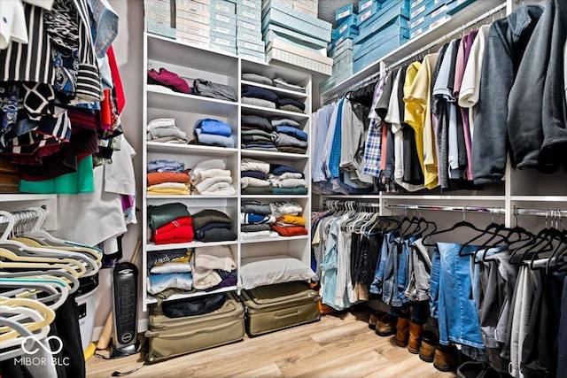 1539 Hazy Falls Blvd, Westfield, IN 46074 - spacious closet with wood finished floors