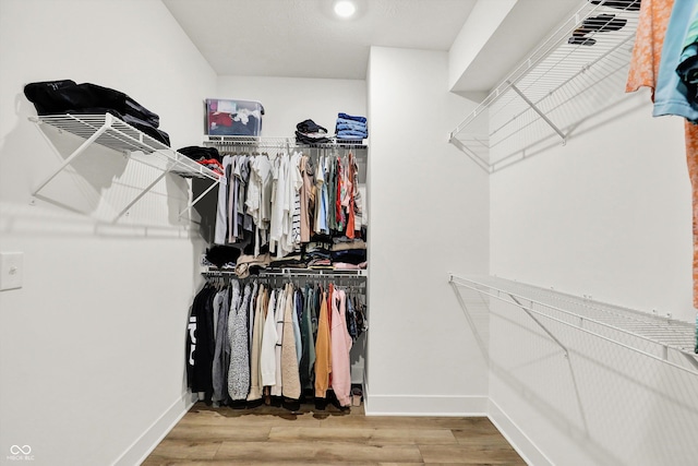 1364 Chatham Hills Blvd, Westfield, IN 46074 - walk in closet featuring light wood-type flooring