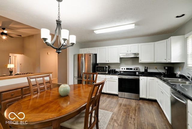 444 Austin Dr, Avon, IN 46123 - kitchen featuring stainless steel appliances, a sink, under cabinet range hood, a ceiling fan, and white cabinets