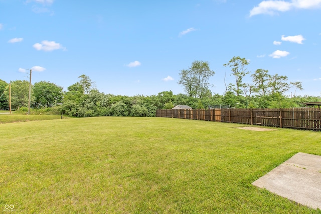3623 Carroll Farms Dr, Indianapolis, IN 46235 - view of yard