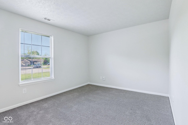 12250 Longstraw Dr, Indianapolis, IN 46236 - spare room featuring carpet flooring, baseboards, and a textured ceiling