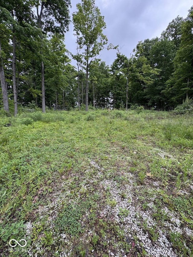 128 Blue Side Way, Cloverdale, IN 46120 - view of tree filled area