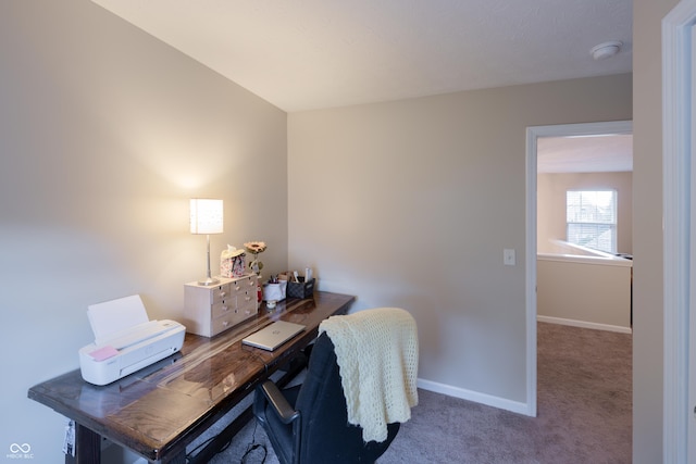 13271 Aquamarine Dr, Carmel, IN 46033 - office space featuring carpet floors and baseboards