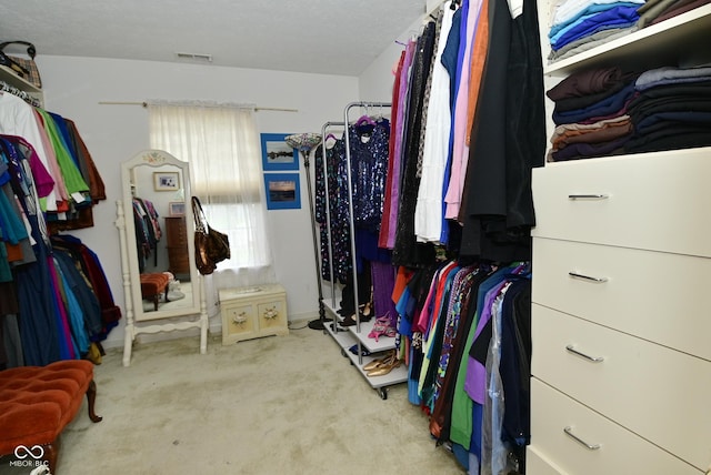 4528 Hunt Master Ct, Indianapolis, IN 46268 - spacious closet featuring carpet floors