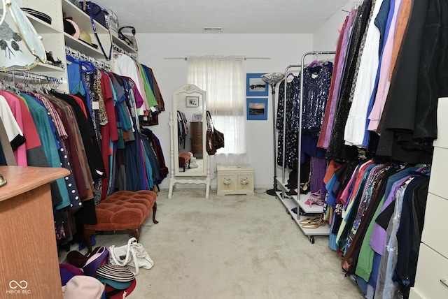 4528 Hunt Master Ct, Indianapolis, IN 46268 - walk in closet featuring carpet floors