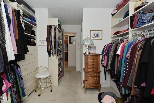 4528 Hunt Master Ct, Indianapolis, IN 46268 - walk in closet with carpet