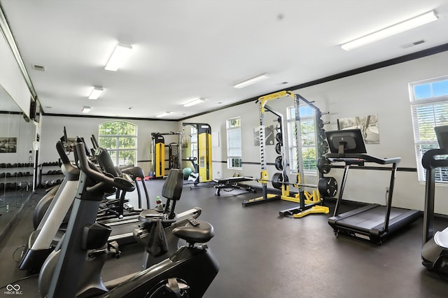 17233 Gunther Blvd Unit 102B, Westfield, IN 46074 - exercise room with plenty of natural light and crown molding