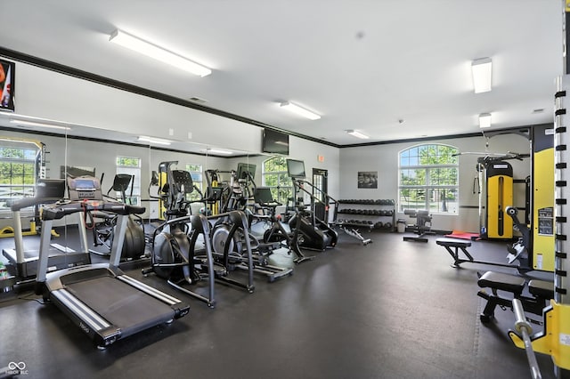 17233 Gunther Blvd Unit 102B, Westfield, IN 46074 - gym with plenty of natural light