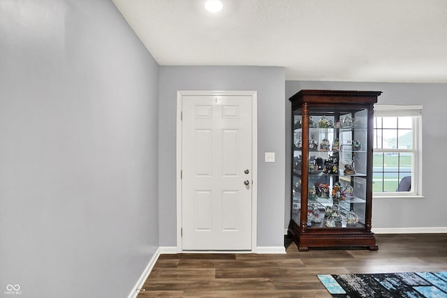 6645 Honeysuckle Way, Pendleton, IN 46064 - foyer entrance with baseboards and dark wood-style floors