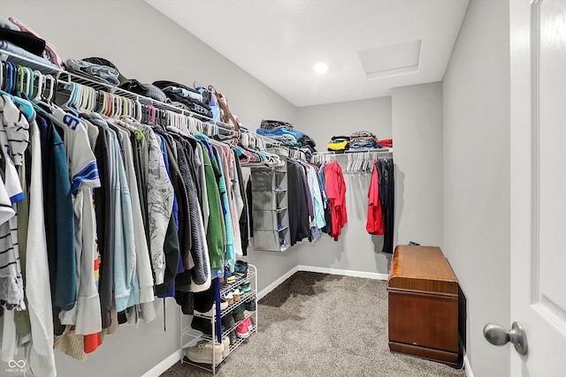 6645 Honeysuckle Way, Pendleton, IN 46064 - spacious closet with attic access and carpet