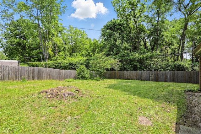 2905 N Warman Ave, Indianapolis, IN 46222 - view of yard