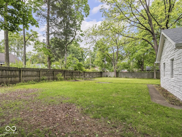 1617 E 52nd St, Indianapolis, IN 46205 - view of yard