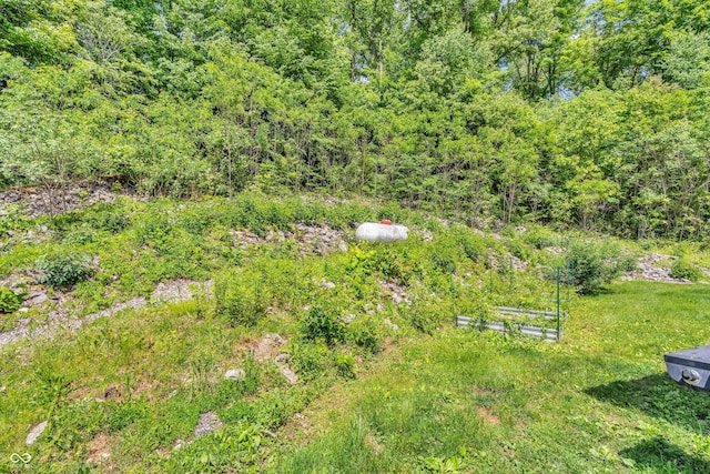 2780 W Grizzly Trl, Martinsville, IN 46151 - view of yard