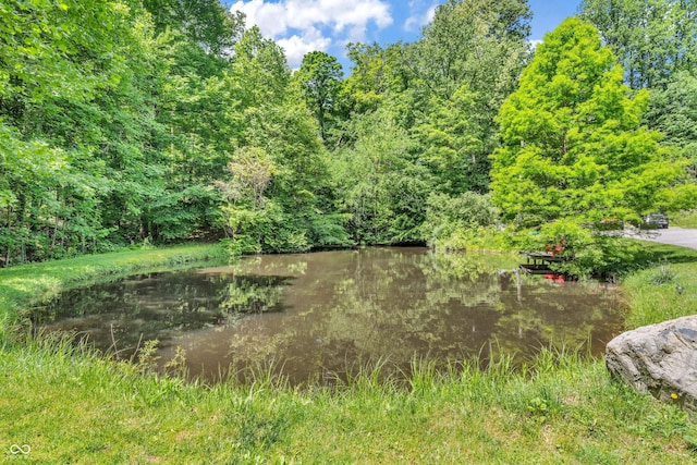 2780 W Grizzly Trl, Martinsville, IN 46151 - water view with a heavily wooded area