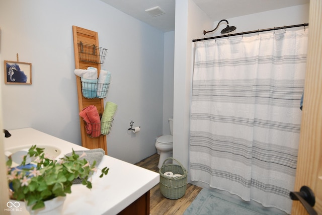 2780 W Grizzly Trl, Martinsville, IN 46151 - bathroom with wood finished floors, vanity, toilet, and curtained shower