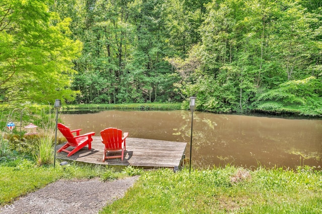 2780 W Grizzly Trl, Martinsville, IN 46151 - view of yard featuring a boat dock, a water view, and a wooded view