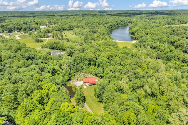 2780 W Grizzly Trl, Martinsville, IN 46151 - drone / aerial view of a heavily wooded area and a large body of water
