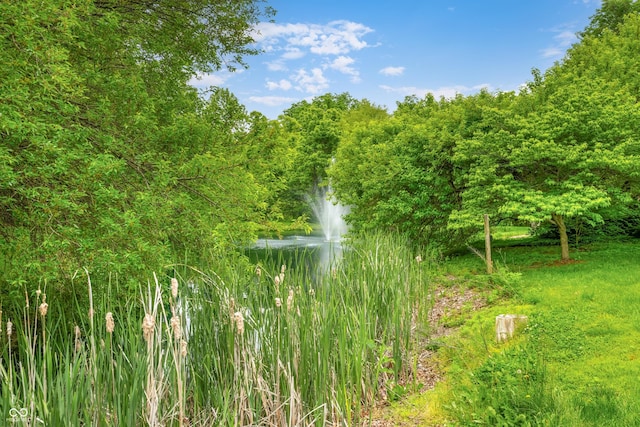 5730 S 50 W, Trafalgar, IN 46181 - view of wooded area featuring a water view