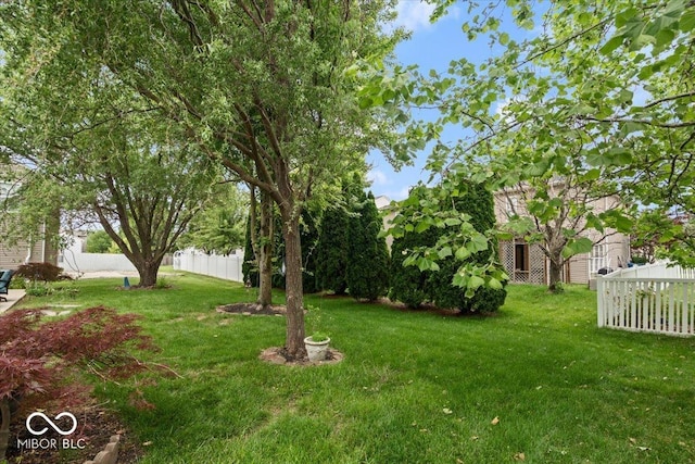 12624 Majestic Way, Fishers, IN 46037 - view of yard