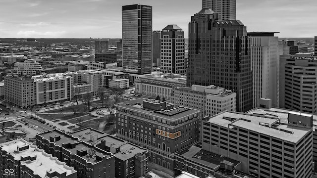 350 N Meridian St Unit 705, Indianapolis, IN 46204 - city view