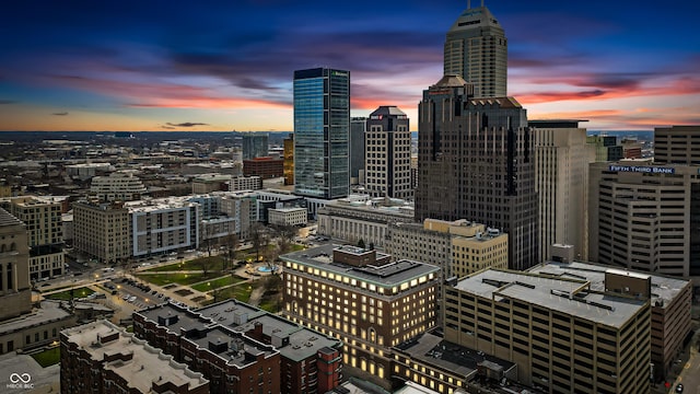 350 N Meridian St Unit 705, Indianapolis, IN 46204 - city view