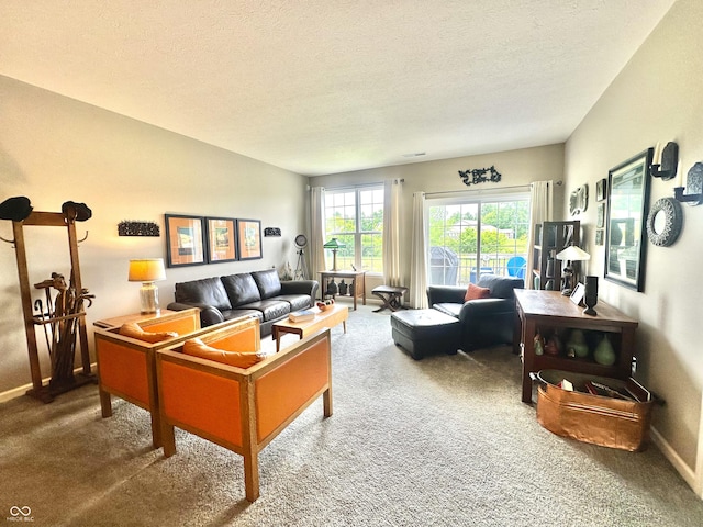 4209 Switchgrass Way, Indianapolis, IN 46237 - living room featuring carpet floors, a textured ceiling, and baseboards
