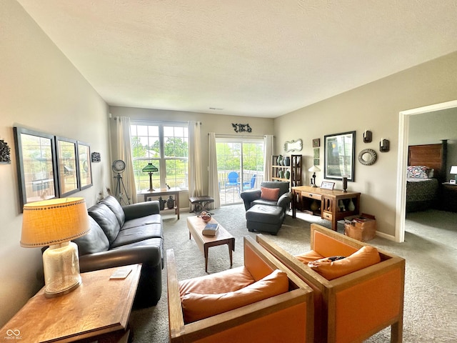 4209 Switchgrass Way, Indianapolis, IN 46237 - living room with light colored carpet and a textured ceiling