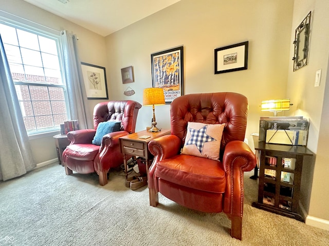 4209 Switchgrass Way, Indianapolis, IN 46237 - sitting room with carpet floors, healthy amount of natural light, and baseboards