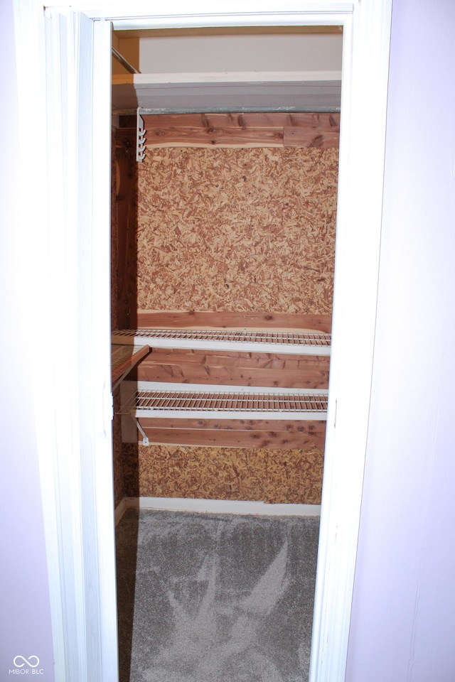 202 S Church St, Brooklyn, IN 46111 - view of closet