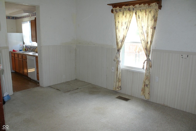 202 S Church St, Brooklyn, IN 46111 - carpeted spare room with a wainscoted wall and a sink