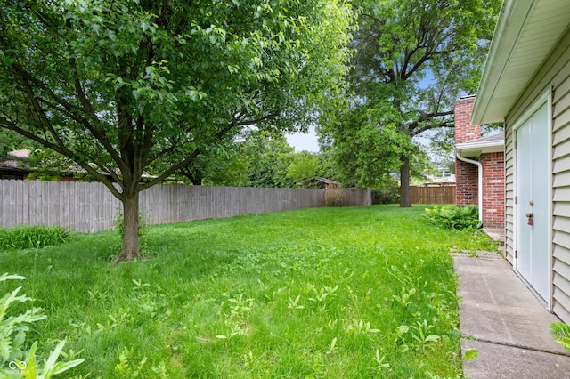 4904 N Tillotson Ave, Muncie, IN 47304 - view of yard