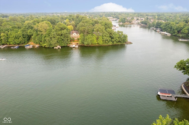 8301 Reef Ct, Indianapolis, IN 46236 - bird's eye view of a nearby body of water and a forest