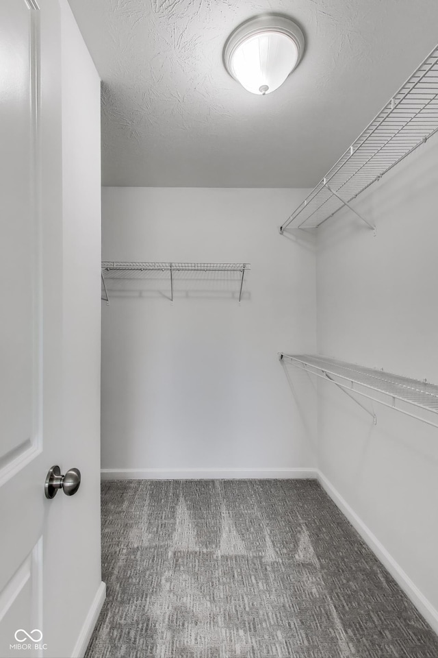 13050 Grand Vue Dr, Carmel, IN 46032 - spacious closet with carpet floors