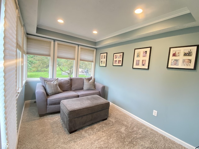 12231 Valley View Cir, Indianapolis, IN 46229 - carpeted living area with a tray ceiling, baseboards, recessed lighting, and crown molding