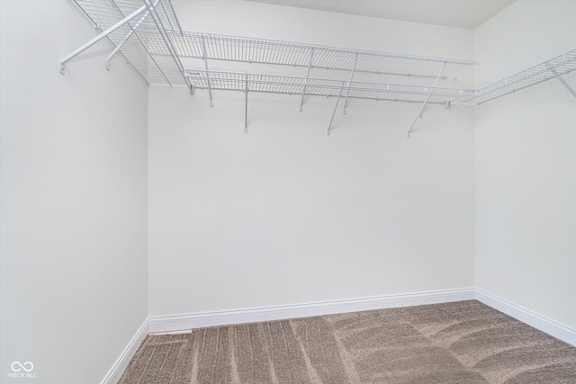 107 Elliott Ave, Trafalgar, IN 46181 - walk in closet with carpet