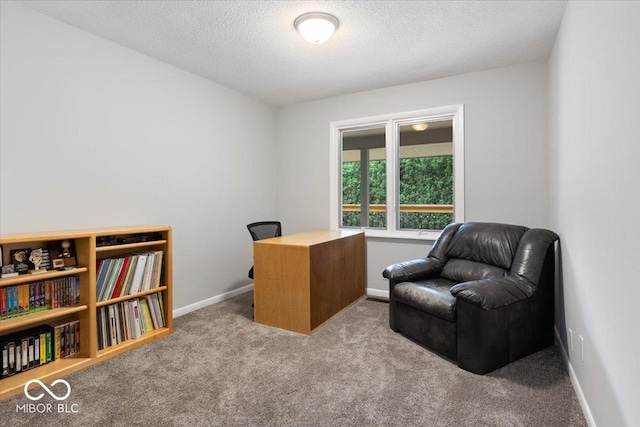 601 Woodbine, Terre Haute, IN 47803 - carpeted home office featuring a textured ceiling and baseboards